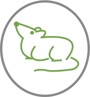png12